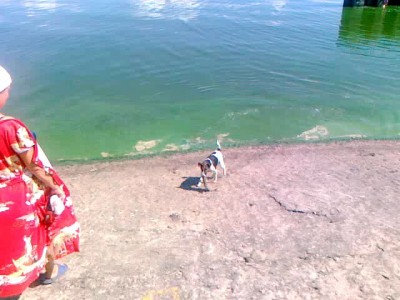 Рыбалка по-юрьевецки