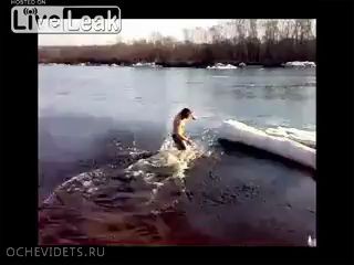 Водочка