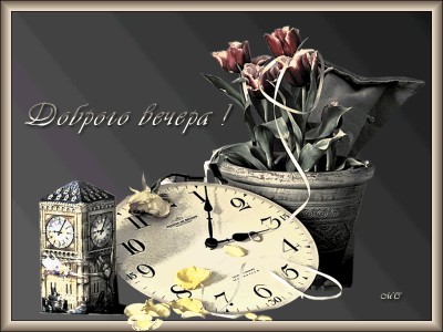 Доброго вечера !