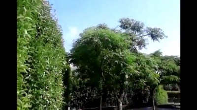 Водичкой поделитесь? У нас там пожар!