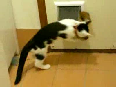 не пускает домой