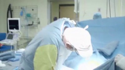 Рождение детеныша гориллы