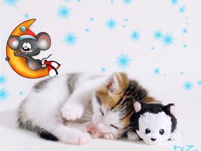 спокойной ночи