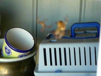 Хотел позаниматься сексом...