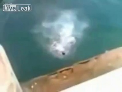 Неудачный прыжок