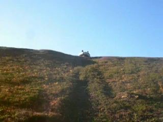 поморы развлекаются