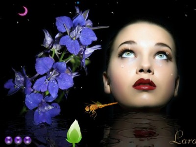 Волшебной ночи аромат