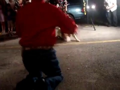 Собака танцует меренге