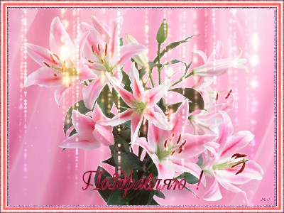 Поздравляю !