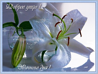 Доброе утро , удачного дня !