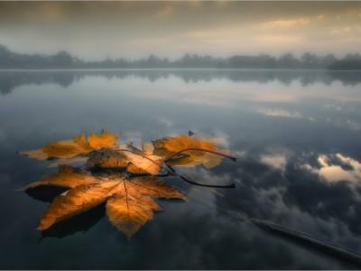 Не теряйте мечту