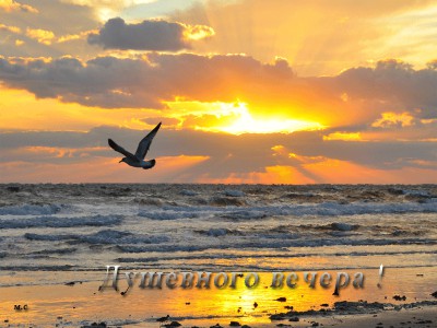 ДУШЕВНОГО ВЕЧЕРА