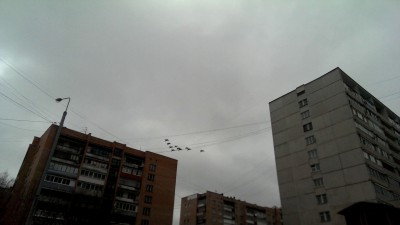 Полёт боевой авиации