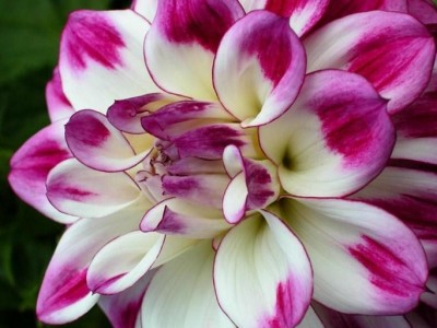 Красота,такая разная.