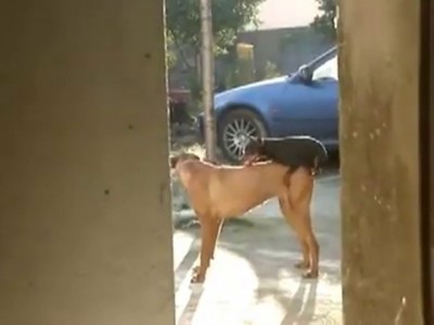 Размер - любви не помеха