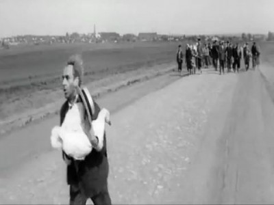 Брось гуся!!!