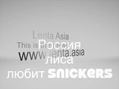 Россия лиса любит snickers