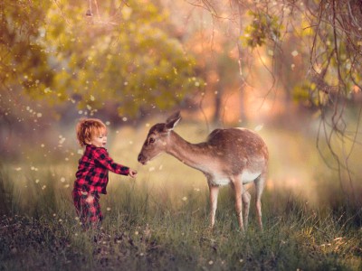 Любите природу !