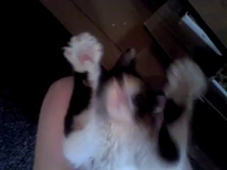 кася кайфует