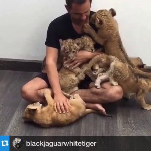 Сильный, независимый мужчина