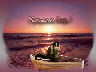 Прекрасного вечера !