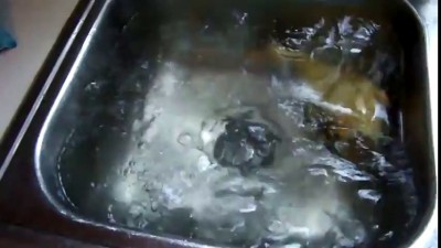 Маленький утенок купается в раковине 