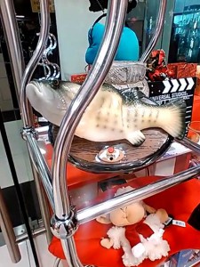 Весёлый карп