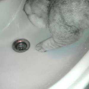 Игра с водой