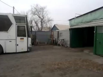 Собака танцует в Караганде район - Михайловка