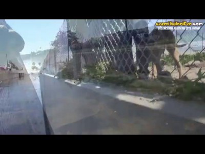 Спасение собаки