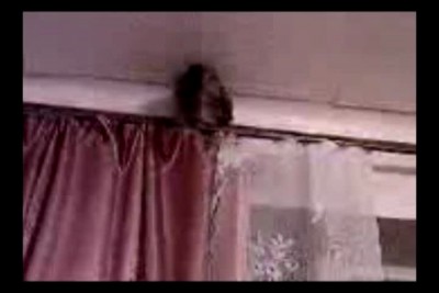 Чудик (или просто ЧМО )