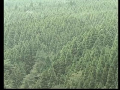 山鹿慕情(オリジナル・カラオケ）