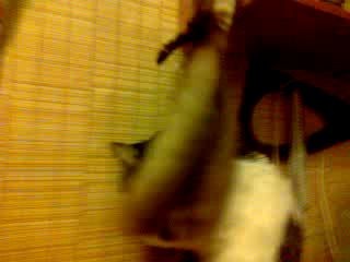 Выбрала себе дитя и тешится