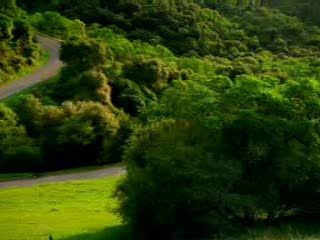 Приведение 1