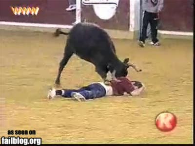 Бычок х** пойми какой бочок