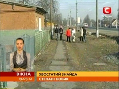 Собака 5 лет ждала своего хозяина