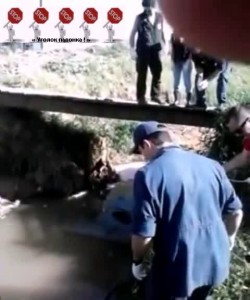 Клюнула что то не похожее на карася ...