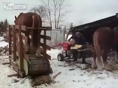 Лошадинная сила