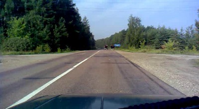 Скотина на дороге!