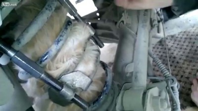 Кот застрял в подвеске машины