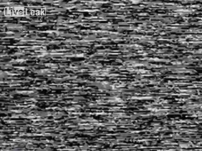 Exploding Manatee Heart