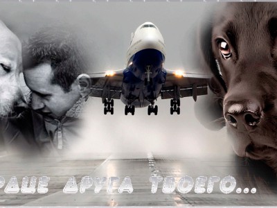 Скрдце друга твоего...