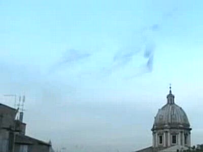 Странное поведение птиц