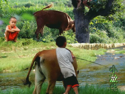 Маленькие Пастух
