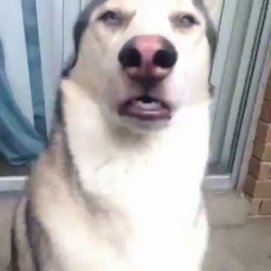 Это я когда хочу чихнуть :)