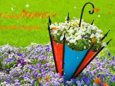 Осенние листья