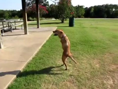 Вера в жизнь!