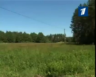 про Цоя