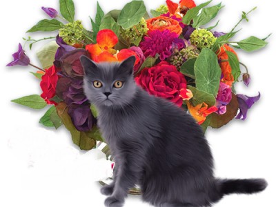 Nowy Tydzien - Новая неделя