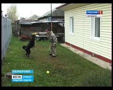 Собака помогла раскрыть убийство хозяина